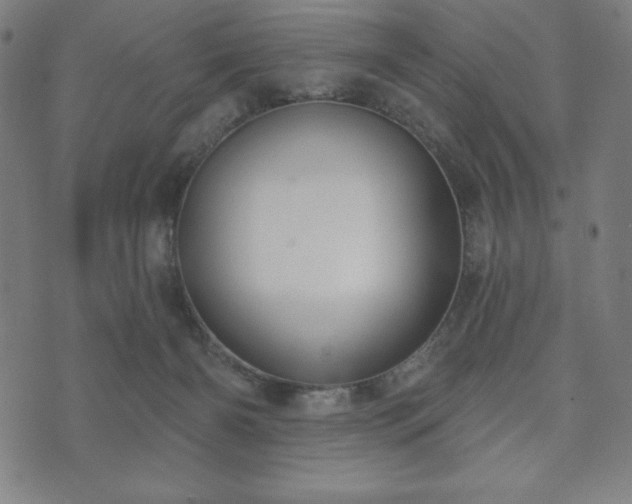 X0000073540126200608071105