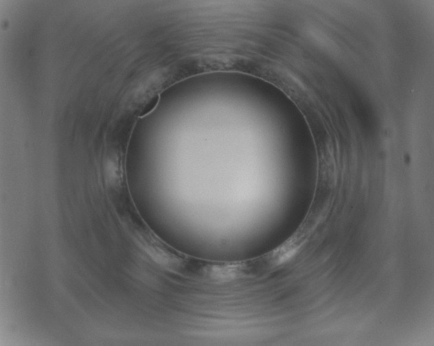 X0000073540134200608071105