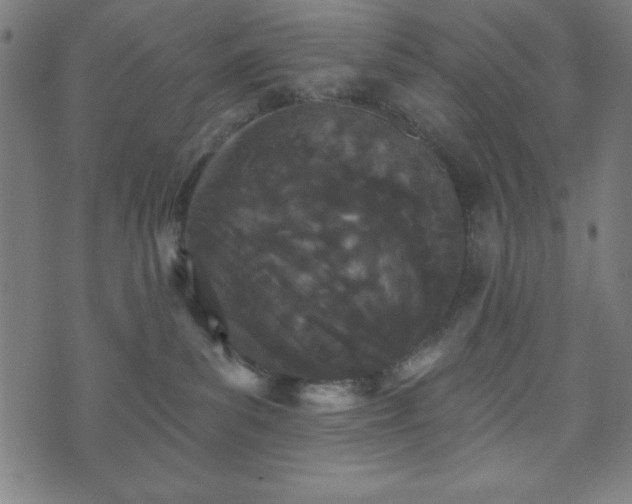X0000073540139200608071105