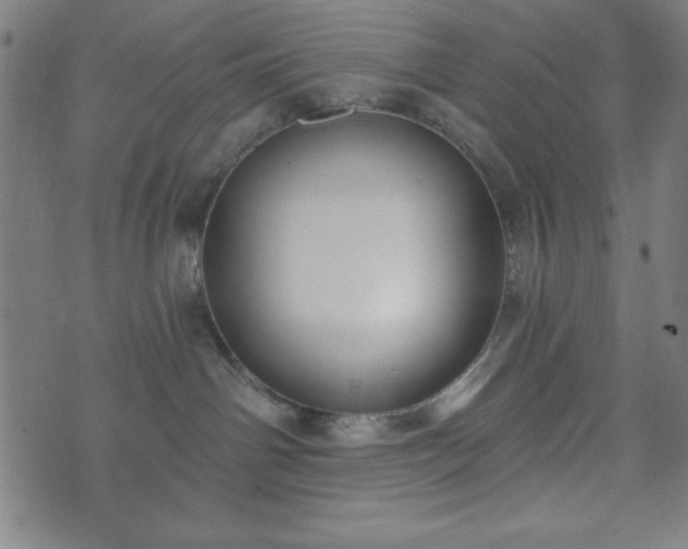 X0000073540142200608071105