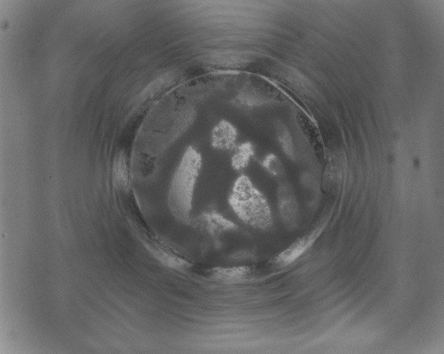 X0000073540143200608071105