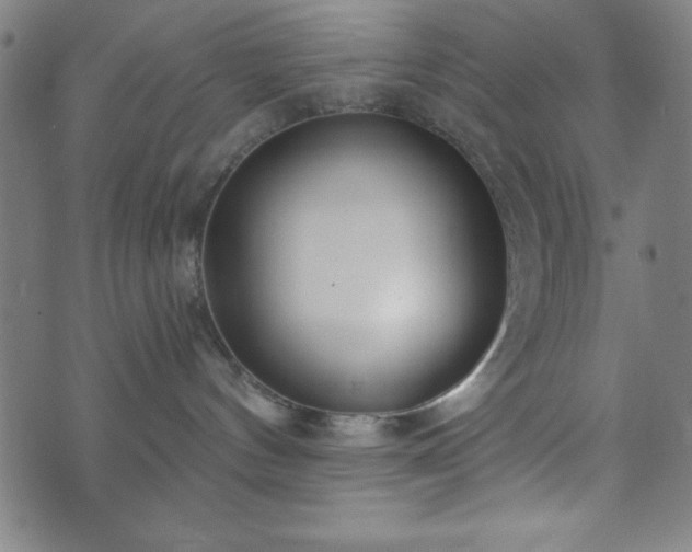 X0000073540144200608071105