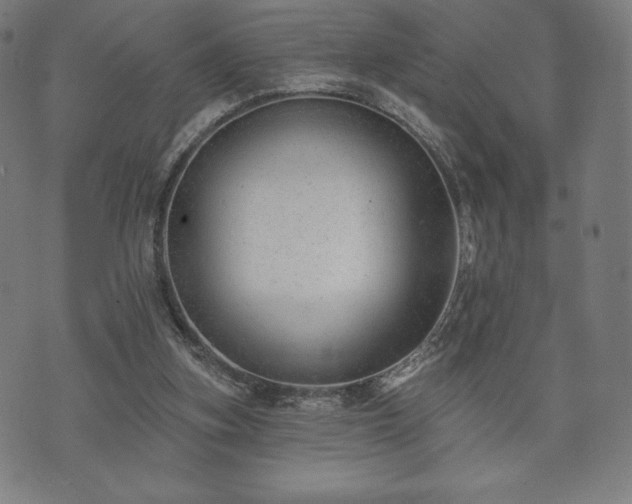 X0000073540155200608071104