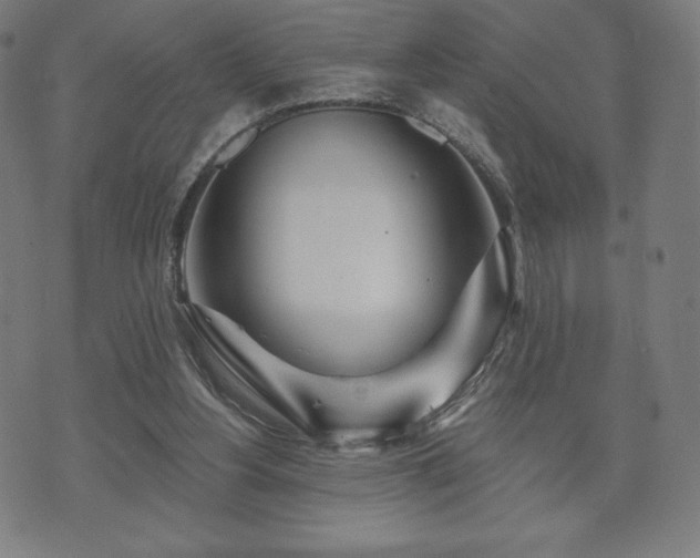 X0000073540156200608071104