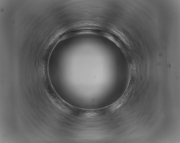 X0000073540158200608071104
