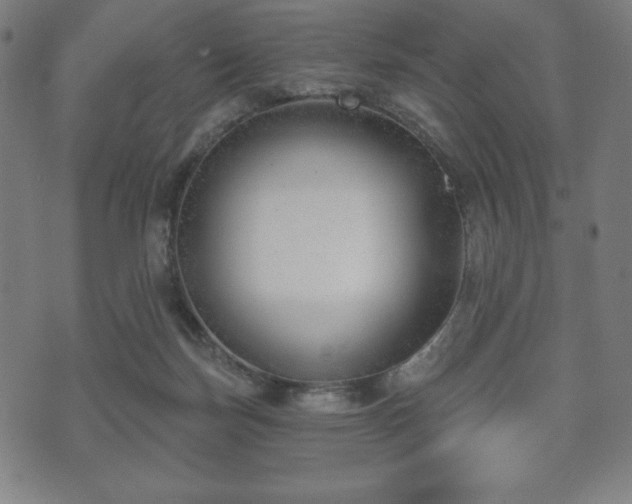 X0000073540171200608071104