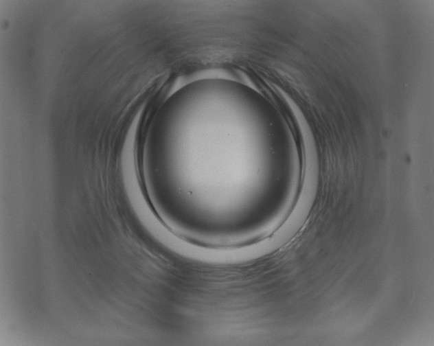 X0000073540172200608071104