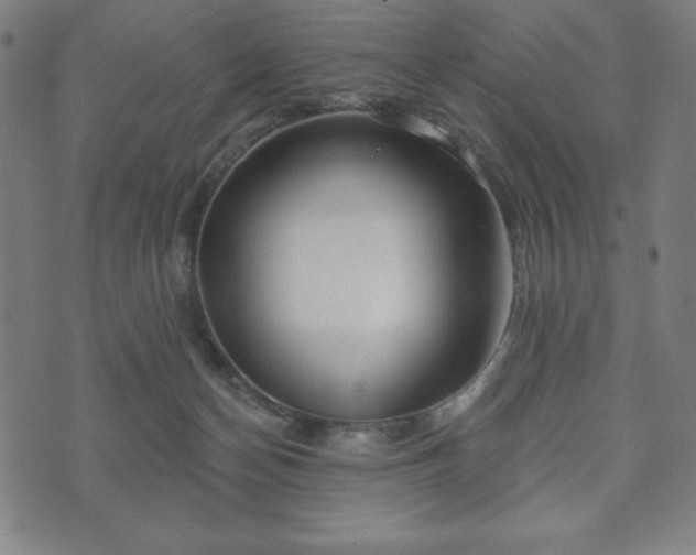 X0000073540174200608071104