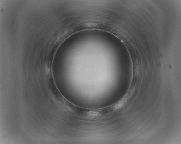 X0000073540176200608071104