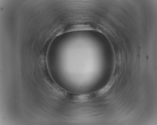 X0000073540184200608071105