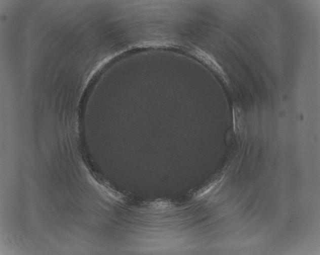 X0000073540204200608071104