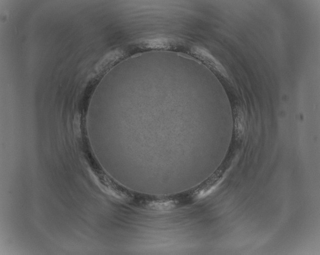 X0000073540213200608071104