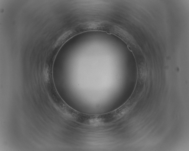 X0000073540216200608071104
