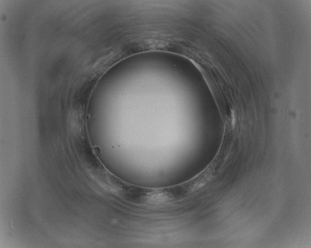 X0000073540218200608071103
