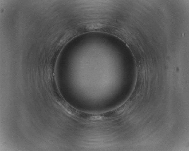 X0000073540227200608071103