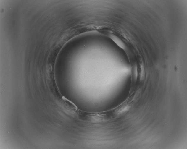 X0000073540229200608071103
