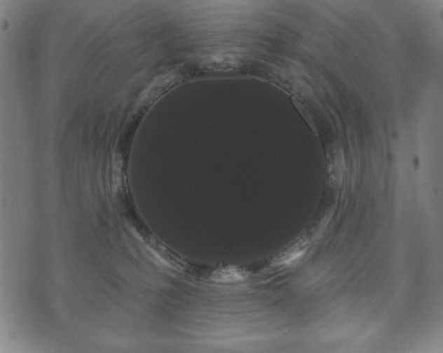 X0000073540231200608071103