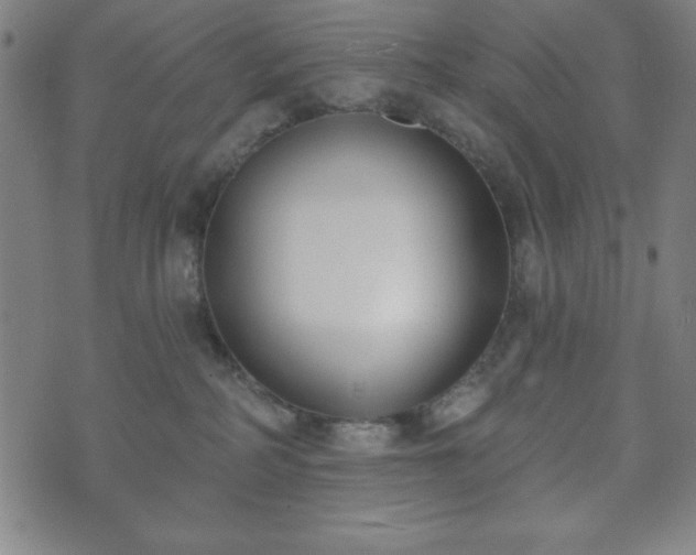 X0000073540234200608071103