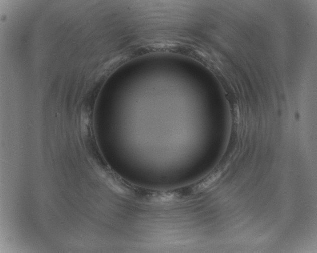X0000073540235200608071103