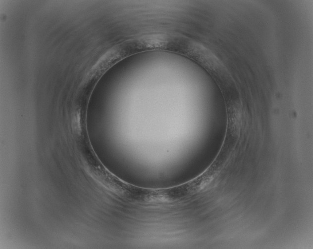 X0000073540262200608071103