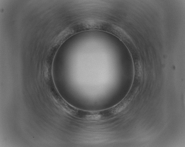 X0000073540266200608071103