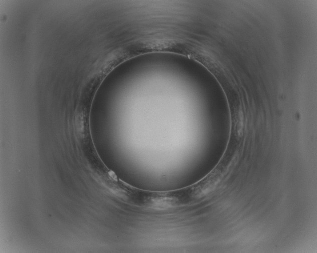 X0000073540268200608071103