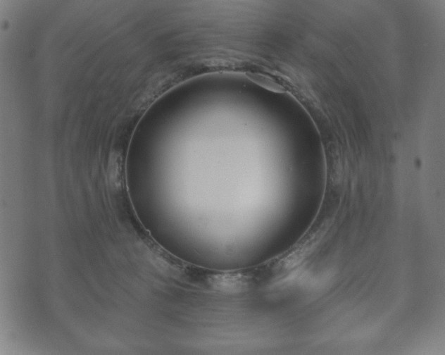X0000073540273200608071103