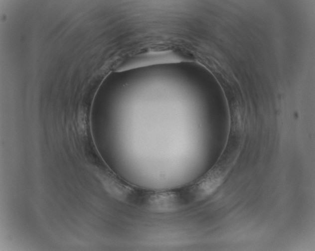 X0000073540274200608071103