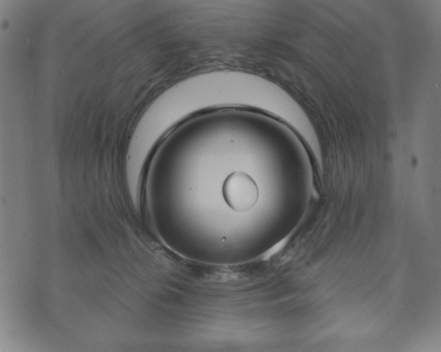 X0000073540276200608071103