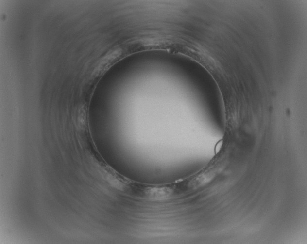 X0000073540277200608071103