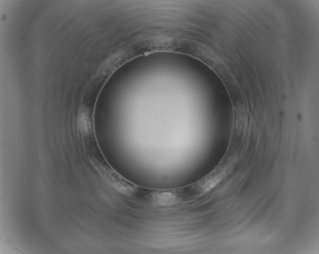 X0000073540287200608071103