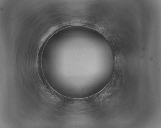 X0000073540292200608071102