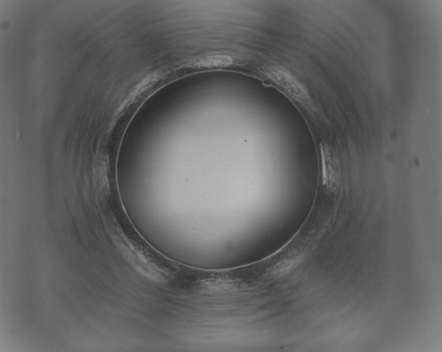 X0000073540300200608071102