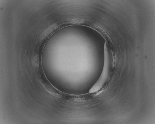 X0000073540303200608071102