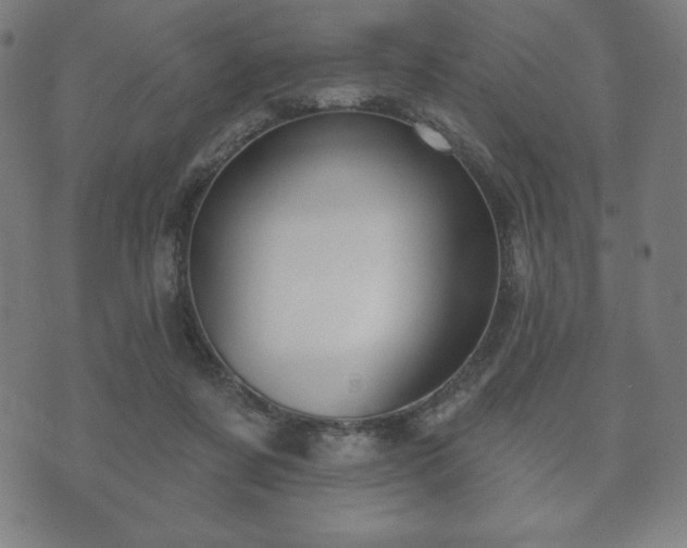 X0000073540311200608071102