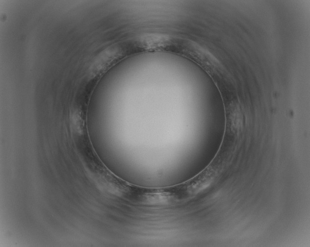 X0000073540316200608071102