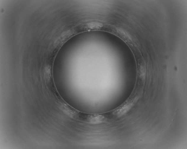 X0000073540321200608071102