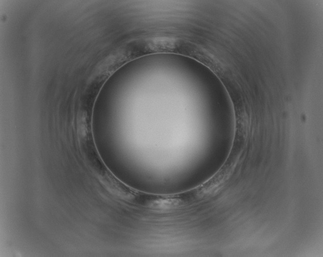 X0000073540323200608071102