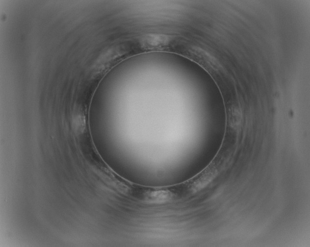 X0000073540324200608071102