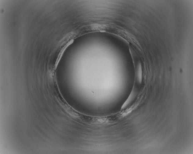 X0000073540329200608071102