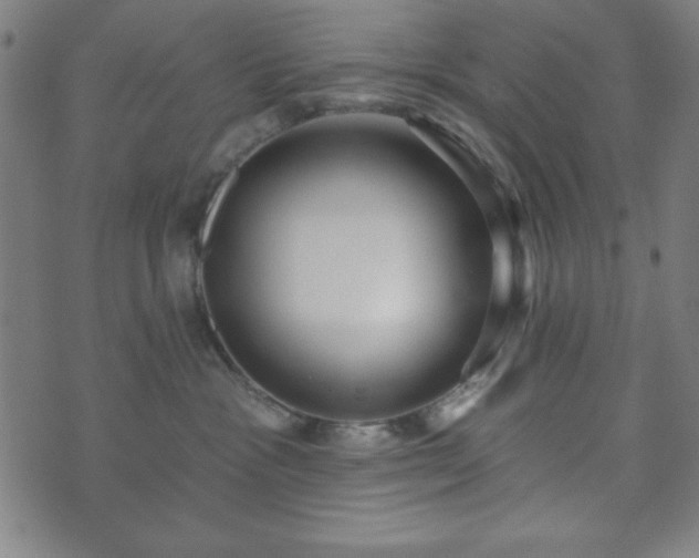 X0000073540333200608071102