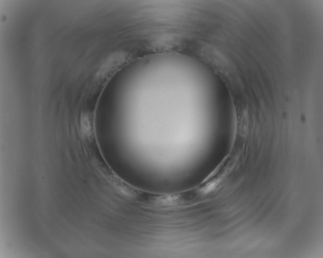 X0000073540335200608071102