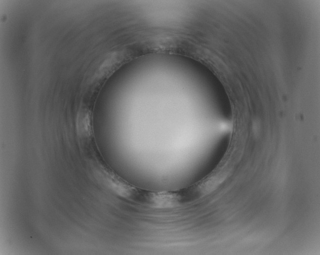 X0000073540336200608071102
