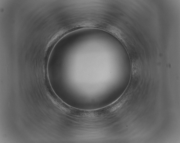 X0000073540349200608071101