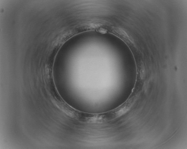 X0000073540366200608071101