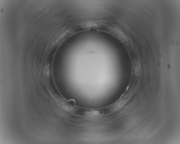 X0000073540374200608071101