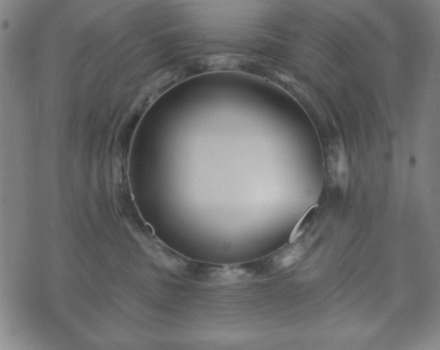 X0000073540379200608071101