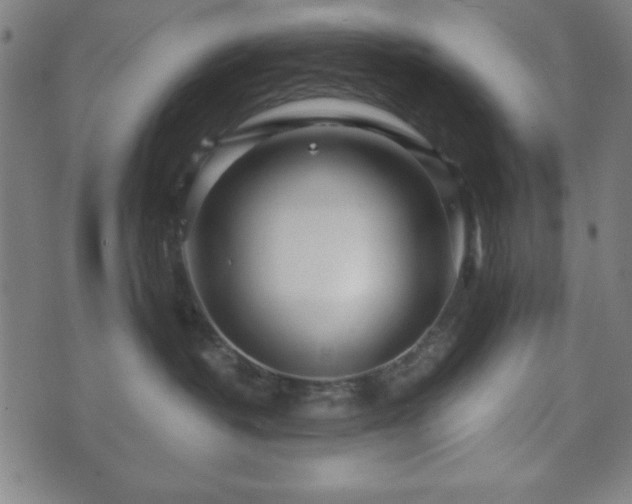 X0000073540382200608071102