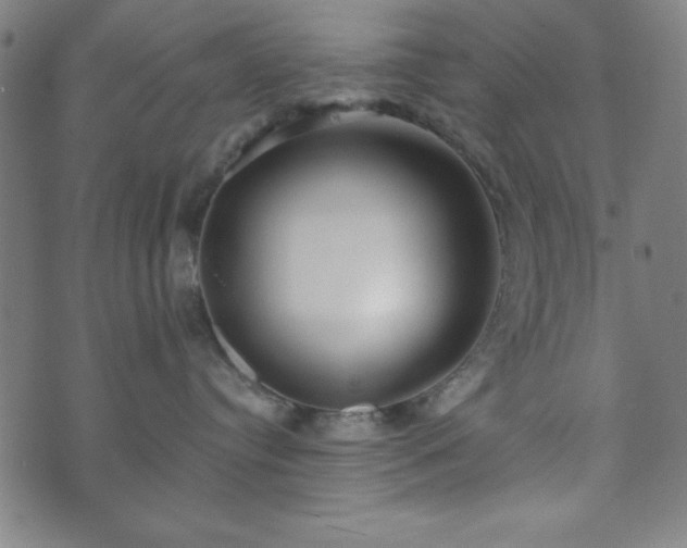 X0000073540384200608071102