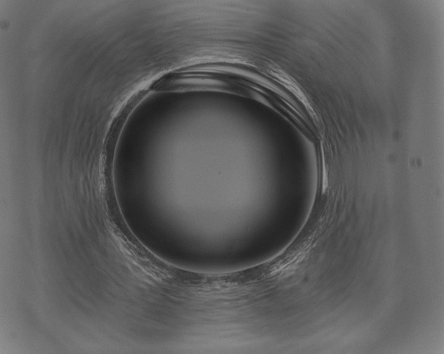 X0000073540387200608071101